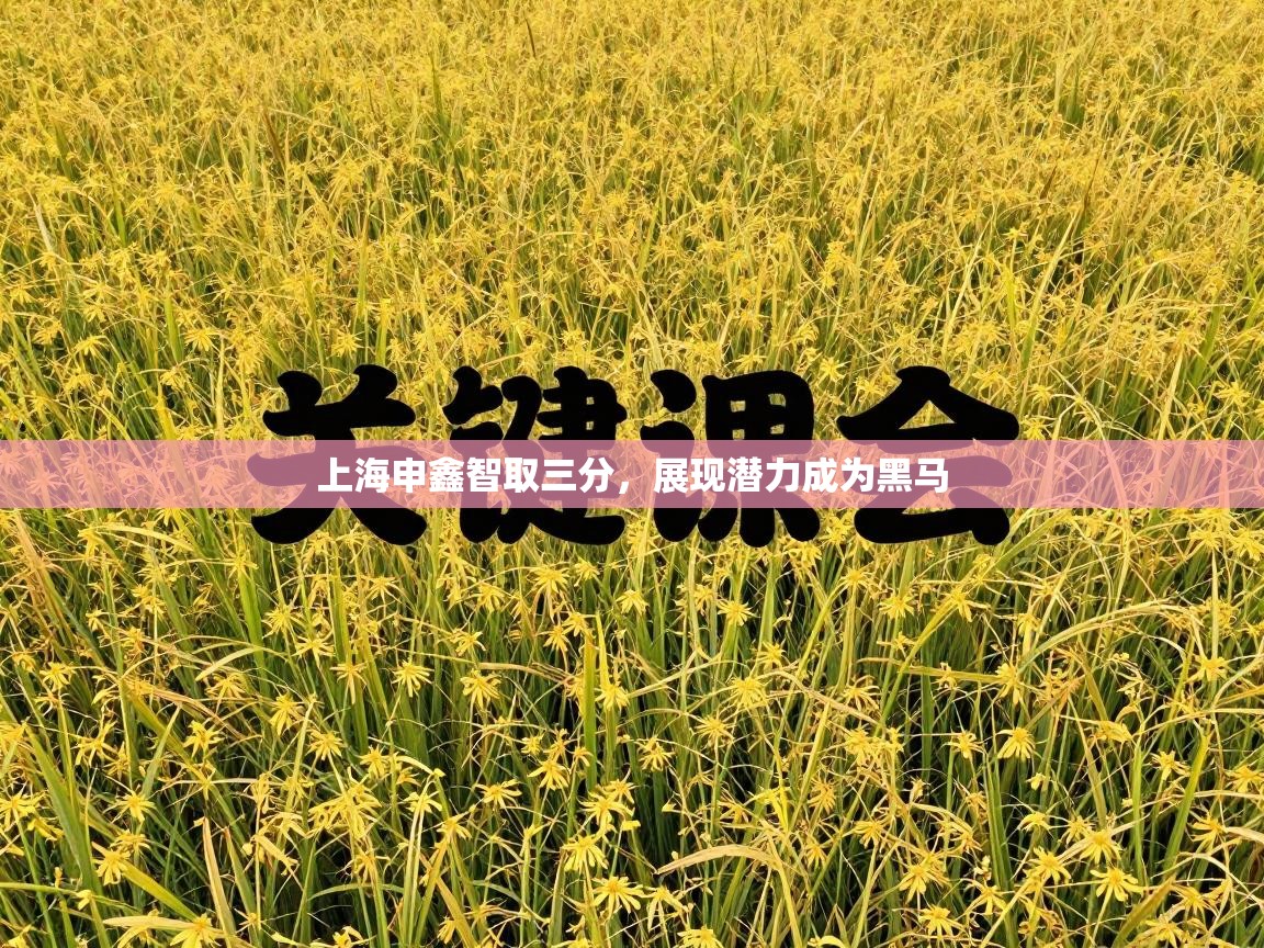 上海申鑫智取三分，展现潜力成为黑马  第2张