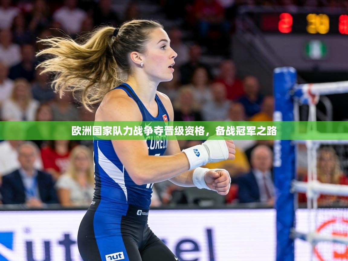 欧洲国家队力战争夺晋级资格，备战冠军之路  第2张